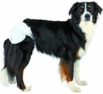 Trixie | Hundewindeln | Taillenbund 32 - 48 cm
