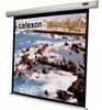 160" Zoll Motor-Leinwand celexon Economy 1:1 | 280x280cm | 4K Full HD 3D 