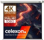 Celexon Leinwand Motor Professional 120 x 120 cm | elektrische 4K ,Full-HD