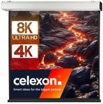 celexon Expert XL Motor-Leinwand 165" | 300x300 cm 1:1