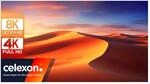 Celexon Rahmenleinwand Expert PureWhite 300 x 187 | schmaler, mattwei&szlig;e 4K,...