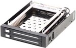 Delock 3.5 Zoll Wechselrahmen f&uuml;r 2x 2,5 Zoll SATA HDD