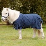 THERMOSTAR Waldhausen Shetty-Regendecke