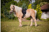 Kerbl Sattelset Economy Pony, Schwarz, 325415