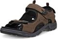 ECCO Men's OFFROAD ANDES 2 Brown 40