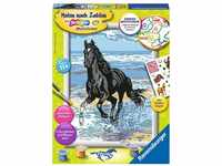 Ravensburger Malen nach Zahlen 28565 - Pferd am Strand Kinder ab 11 Jahren