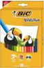 BIC Kids ECOlutions Evolution Buntstifte Set für Kinder ab 5 Jahren – Farbstifte