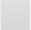 Siedle 200016939-01 Türsprechanlagen-Zubehör Funktionsmodul Weiß, Multicolor