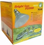 Lucky Reptile Bright Sun UV Desert Flood