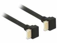 Delock Kabel USB 3.1 Gen 2 Key B 20 Pin Stecker > USB 3.1 Gen 2 Key B 20 Pin...