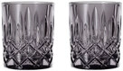 Nachtmann Whiskyglas NOBLESSE 2 Set grau