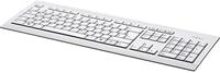 Fujitsu Keyboard KB521 DE, Einfarbig