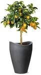 Scheurich Wave Globe High, Hochgef&auml;&szlig; aus Kunststoff, Schwarz-Granit, 29,8 cm