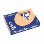 Clairefontaine 1995C - Ries Druckerpapier / Kopierpapier Trophee, Pastell...