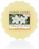 Yankee Candle Tarts Teelichter-Kerzen, Wax, Tobacco Flower, 8.4 x 6.1 x 1 cm, 9