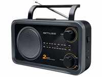 Muse M-06 DS Küchenradio (FM, MW) Radio, Netz- und Batteriebetrieb, AUX-In für
