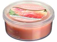 Yankee Candle Sun-Drenched Apricot Rose Scenterpiece, Kerze,Schmelztasse, Wachs,