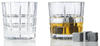 Leonardo 2-er Set Spiritii Whiskybecher + 8 Kühlsteine, 360 ml, Klarglas und...