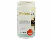 Protein 75 Vanille Pulver