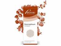 Pascoe® Pancreatinum Similiaplex: Homöopathisches Komplexmittel – 50 ml –
