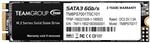TEAMGROUP SSD M.2 1TB Team MS30 Typ 2280 TM8PS7001T0C101