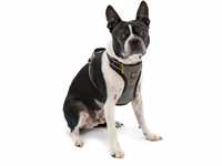 Kurgo Impact Hunde-Autogeschirr, Crashtest-geprüft für mehr Sicherheit, Für Hunde