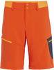 SALEWA Shorts, Modell Pedroc Cargo 2 DST M Shorts
