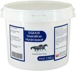 GELATINE Hydrolysat Equus Pulver vet. 2000 g