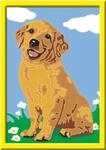 Ravensburger CreArt Kleiner Golden Retriever - Malen nach Zahlen ab 7 Jahre | Malset