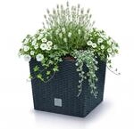 Prosperplast Blumentopf in Rattan-Optik Pflanzk&uuml;bel mit Einsatz | 40 x 40 x...
