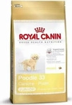 Royal Canin Puppy 3 kg Poodle, Grundpreis: &euro; 8,97 / kg