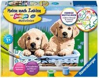 Ravensburger CreArt S&uuml;&szlig;e Hundewelpen - Malen nach Zahlen ab 7 Jahre | Malset...