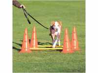 Trixie 32092 Dog Activity Hindernisse, 2 St., ø 30 × 50 cm/100 cm, orange/gelb