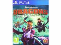 Dragons: Dawn of New Riders PS4 [