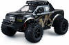 Amewi Monster Truck 1:10 RTR schwarz/Gold, 22493