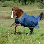 Bucas Irish Turnout Light/50 Classic, Weidedecke R&uuml;ckenl&auml;nge 125 cm, Navy/gold