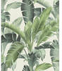 Rasch Tapeten Vliestapete (Botanical) Grün weiße 10,05 m x 0,53 m BARBARA Home