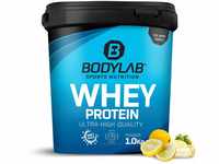 Bodylab24 Whey Protein Pulver, Lemon Cheesecake, 1kg