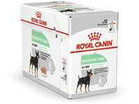 ROYAL CANIN CCN Digestive Care LOAF - Wet Food for Adult Dogs - 12x85g