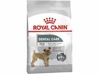 ROYAL CANIN CCN Mini Dental Care - Dry Food for Adult Dogs - 3kg