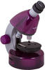 Levenhuk LabZZ M101 Amethyst/Ametyst 40x-640x Einsteigermikroskop für Kinder...