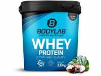 Bodylab24 Whey Protein Pulver, Schokolade-Kokosnuss, 1kg