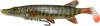 Savage Gear 4D Pike Shad 20cm 65g sinkend - Gummifisch, Farbe:Striped Pike,
