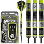 WINMAU Michael Van Gerwen MvG Aspire 21g Profi Wolfram Steeltip Dartpfeile Set...