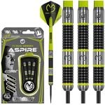 WINMAU Michael Van Gerwen MvG Aspire 25g Profi Wolfram Steeltip Dartpfeile Set...