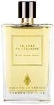 SIMONE ANDREOLI Leisure in Paradise Eau de Parfum Intense, Unisex (100 ml)