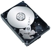 Seagate Desktop HDD 750GB 3.5" SATA II 3.5 Zoll Serial ATA II Festplatte - Interne