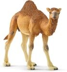 SCHLEICH WILD Life | Dromedar 14832 | detailgetreue Tierfiguren | Zoo Spielzeug 
