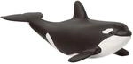Schleich WILD Life | Orka Junges 14836 | 5 x 10 x 4 cm | Spielfigur ab 3 Jahren 