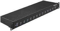Delock 64039 19&Prime; Industrie Hub 13 x USB 3.1 Gen 1 Typ-A